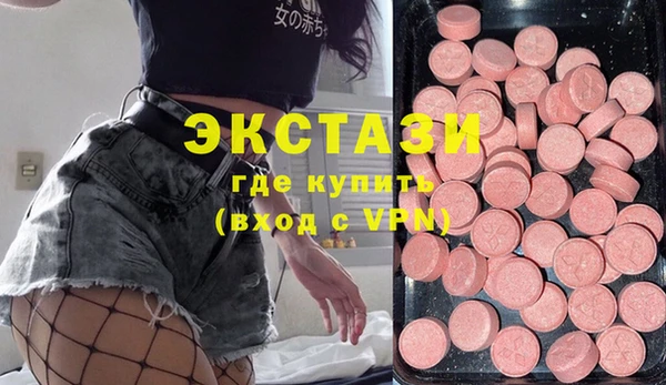 хмурый Пересвет