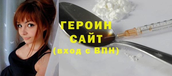хмурый Пересвет