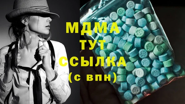 хмурый Пересвет