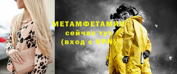 хмурый Пересвет