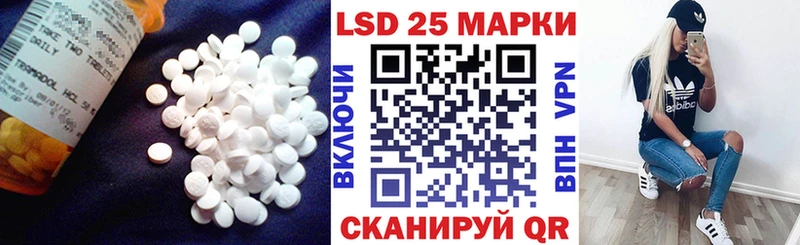 блэк спрут зеркало  купить наркоту  Шенкурск  ЛСД экстази кислота 